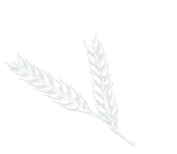 10_Grain-Scheuer